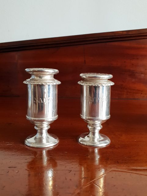 Pair of Anglo Indian silver salt and peppers by Hamilton and Co c. 1830