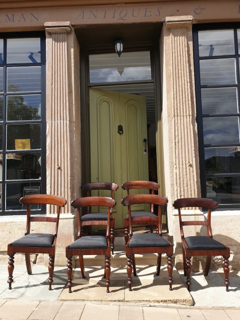 Set of six Tasmanian cedar dining chairs c 1845