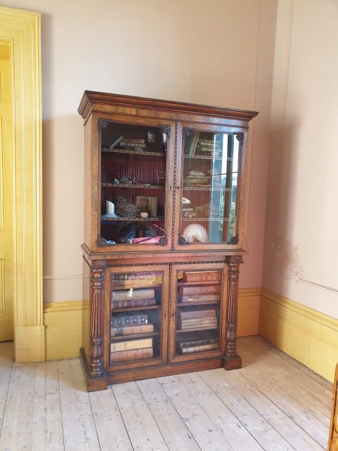 George IV rosewood drawing room cabinet c 1820