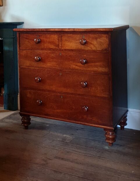 Tasmanian Colonial period Cedar Chest of Drawers c1835