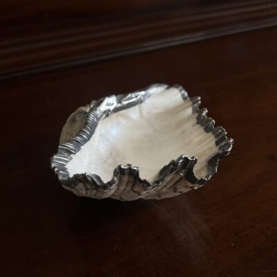 Silver Mounted Clam Shell c1960