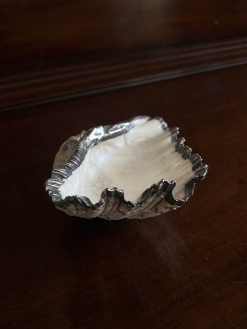 Silver Mounted Clam Shell c1960